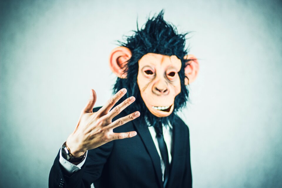 Business portrait start up
