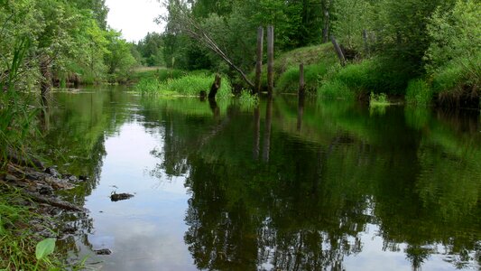 Nature landscape summer