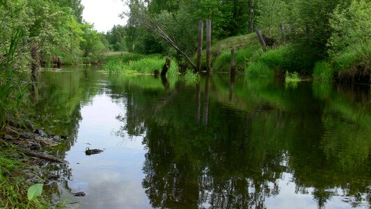 Nature landscape summer photo