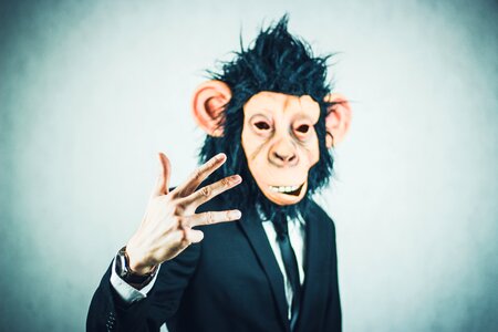 Business portrait start up