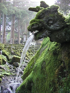 Sculpture fountain moss