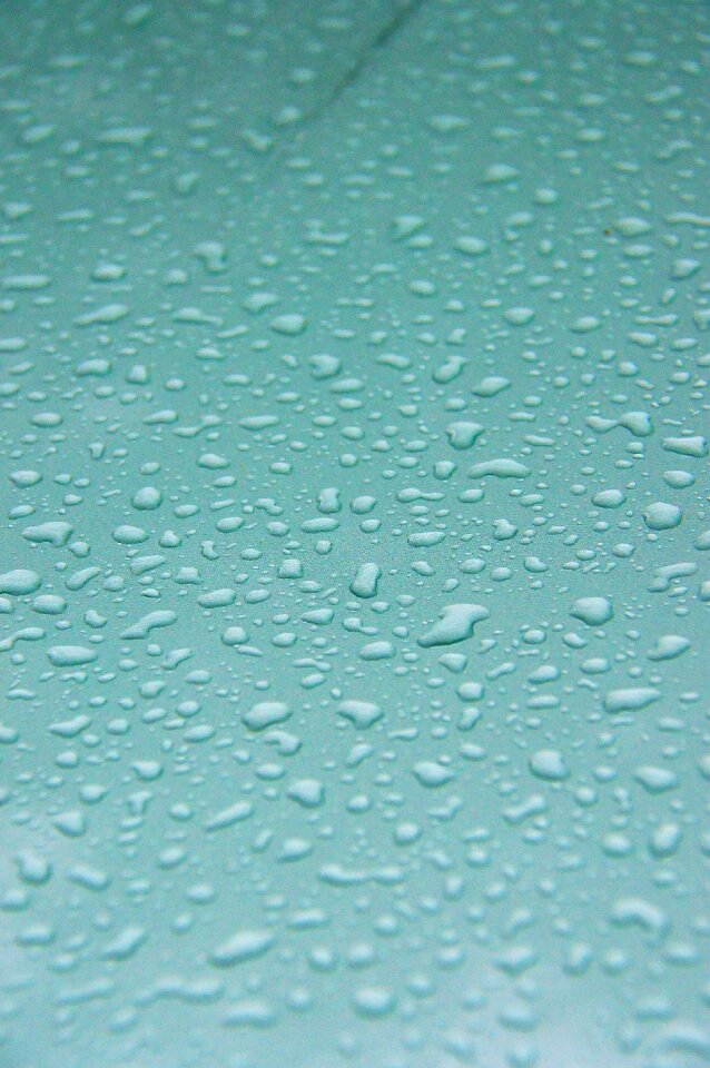 Rain just add water water