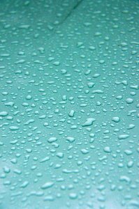 Rain just add water water photo