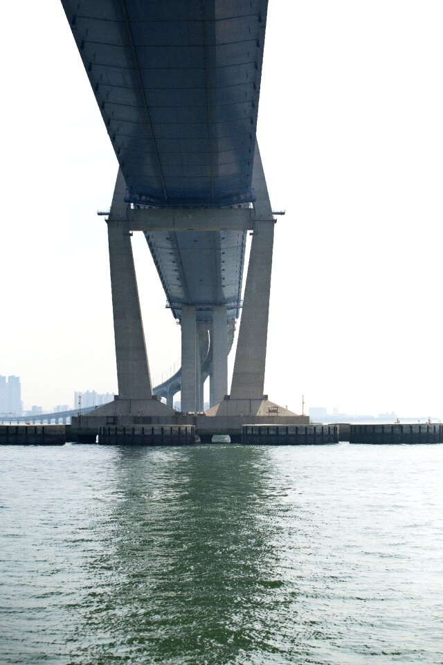 Sea yeongjongdo sea legs
