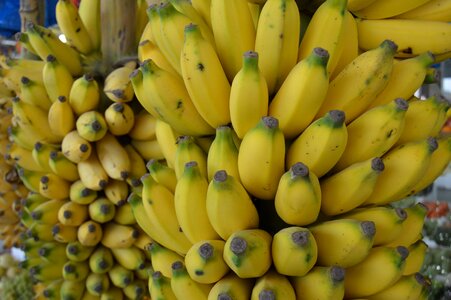 Small banana organic banana