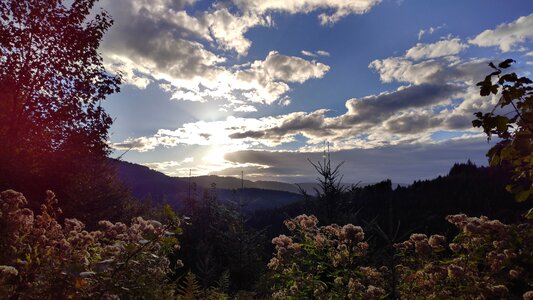 Nature sunset idyllic photo