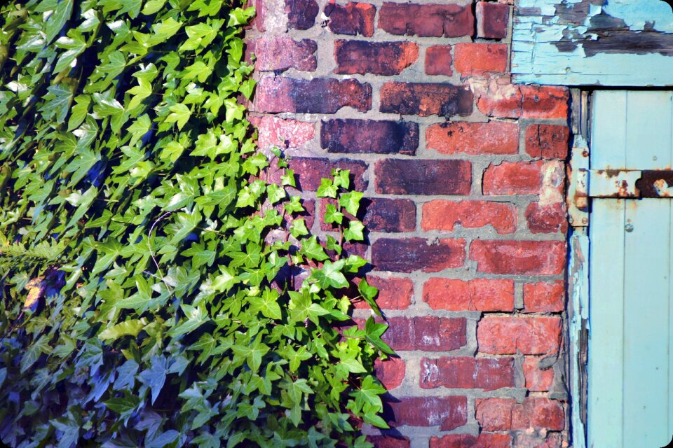 Texture aged pattern