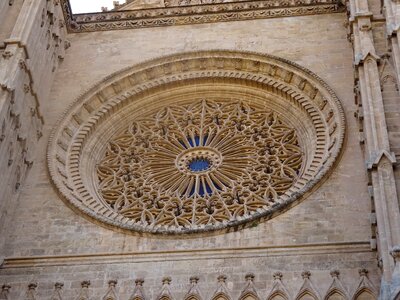 Palma mallorca rosette
