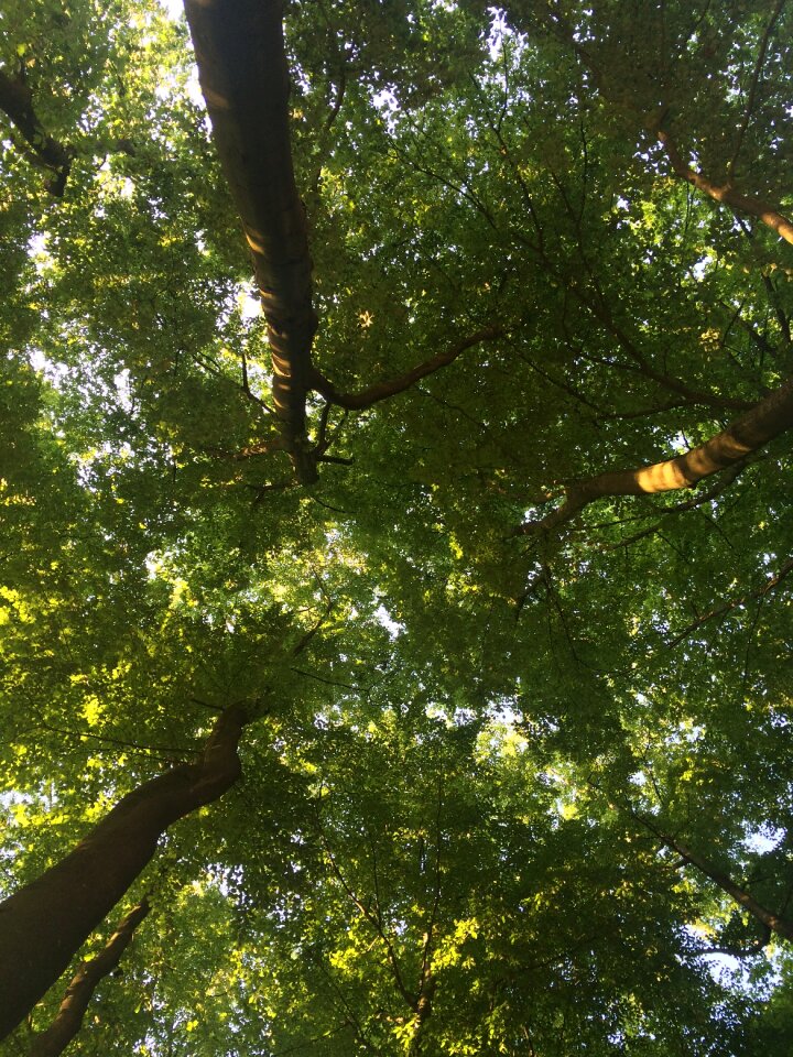 Germany green environment