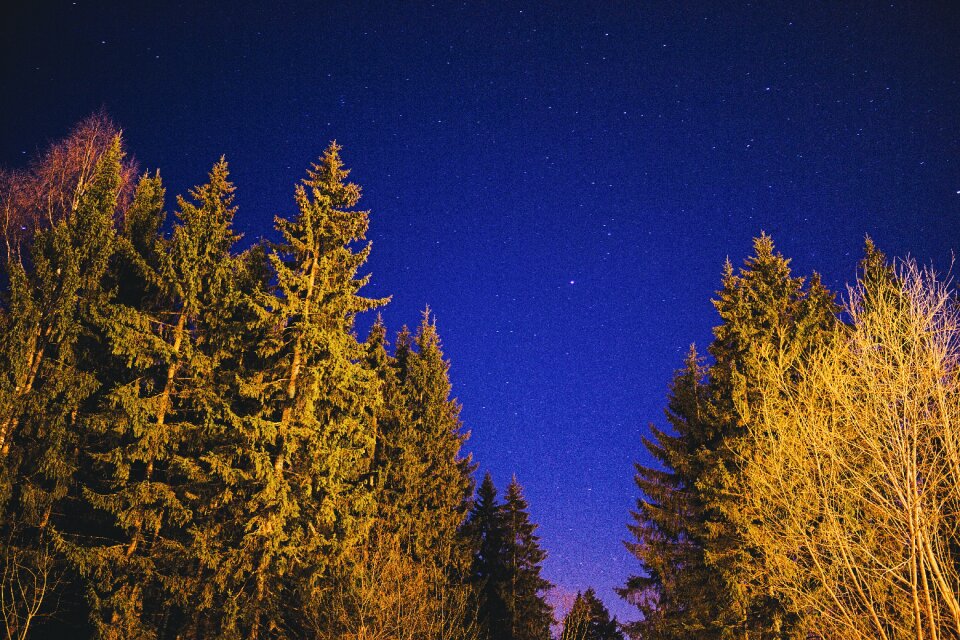Russia night star night