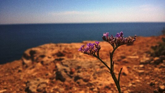 Sea summer travel