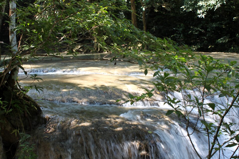 Nature beauty
