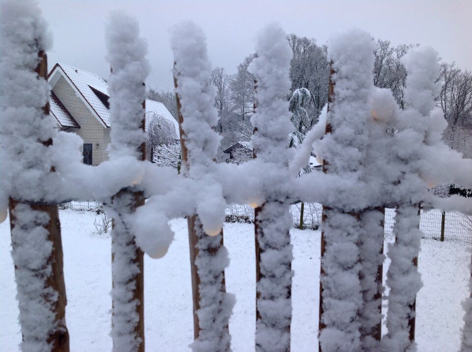 Snowy garden winter impressions