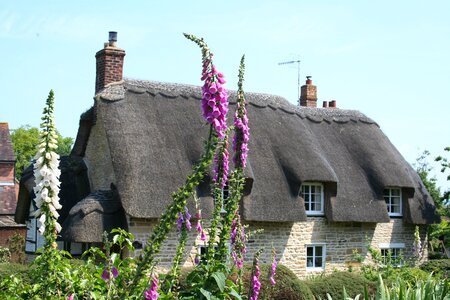 Thatch house