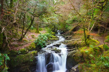 Kerry nature