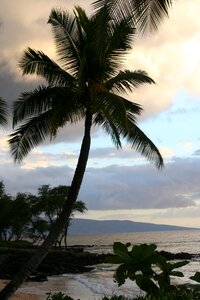 Ocean tropical
