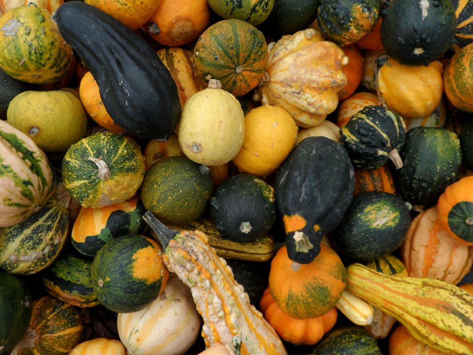 Halloween vegetables nature