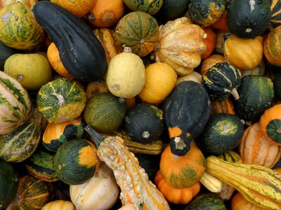 Halloween vegetables nature
