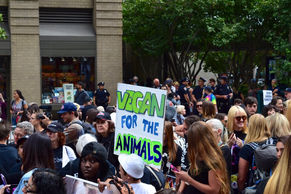 Sign animal rights protest
