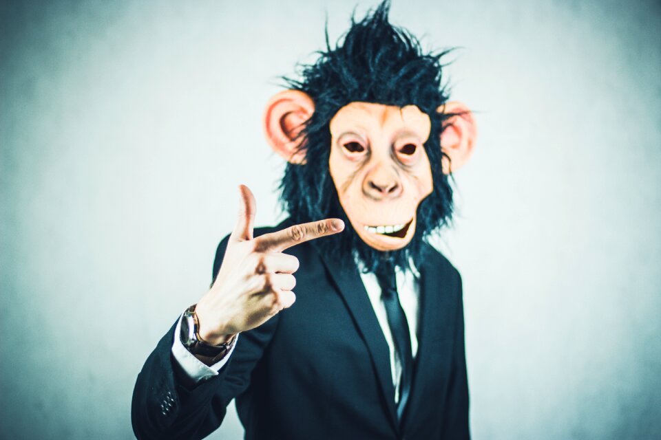 Business portrait start up