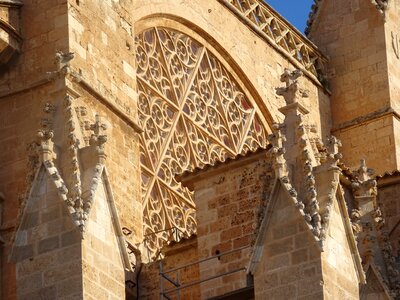 Palma mallorca rosette