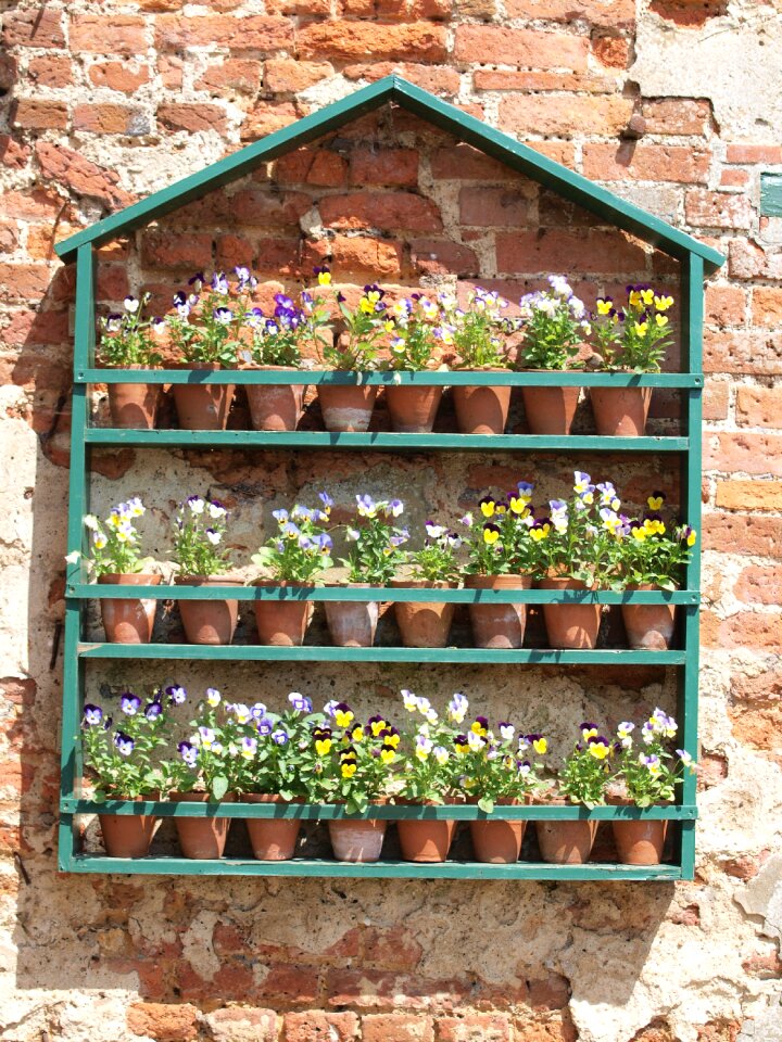 Shelves ornament