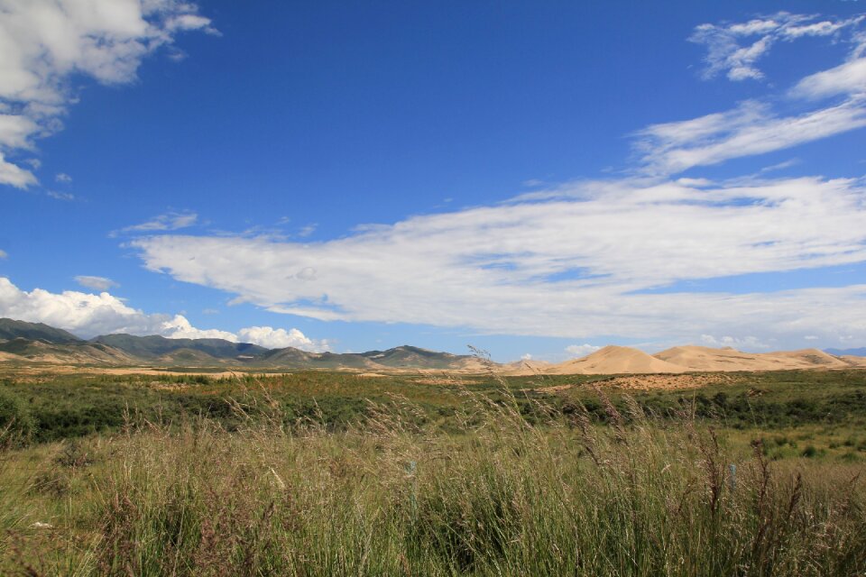 Qinghai lake desert oasis