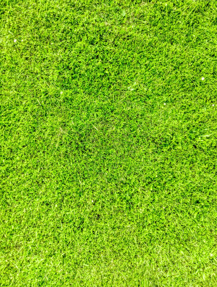 Green garden asset