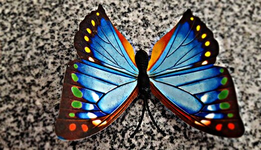 Insect toy ornament