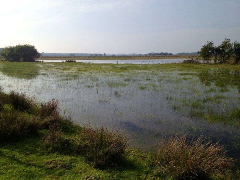 Ven dunes dutch landscape
