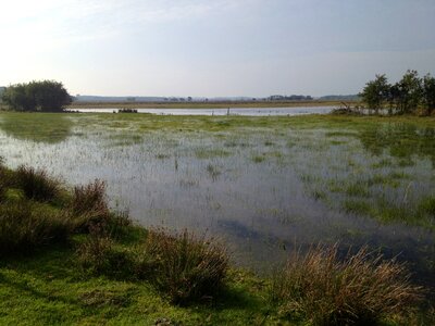 Ven dunes dutch landscape