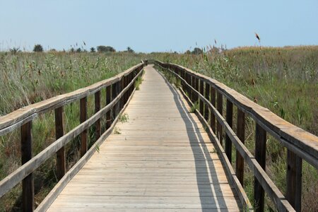 Sun nature gateway photo