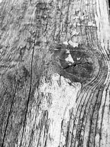 Aged wood barn board photo