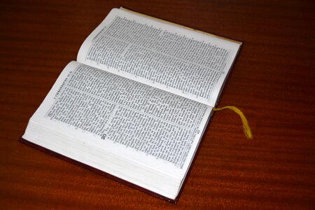 Bible darby holy