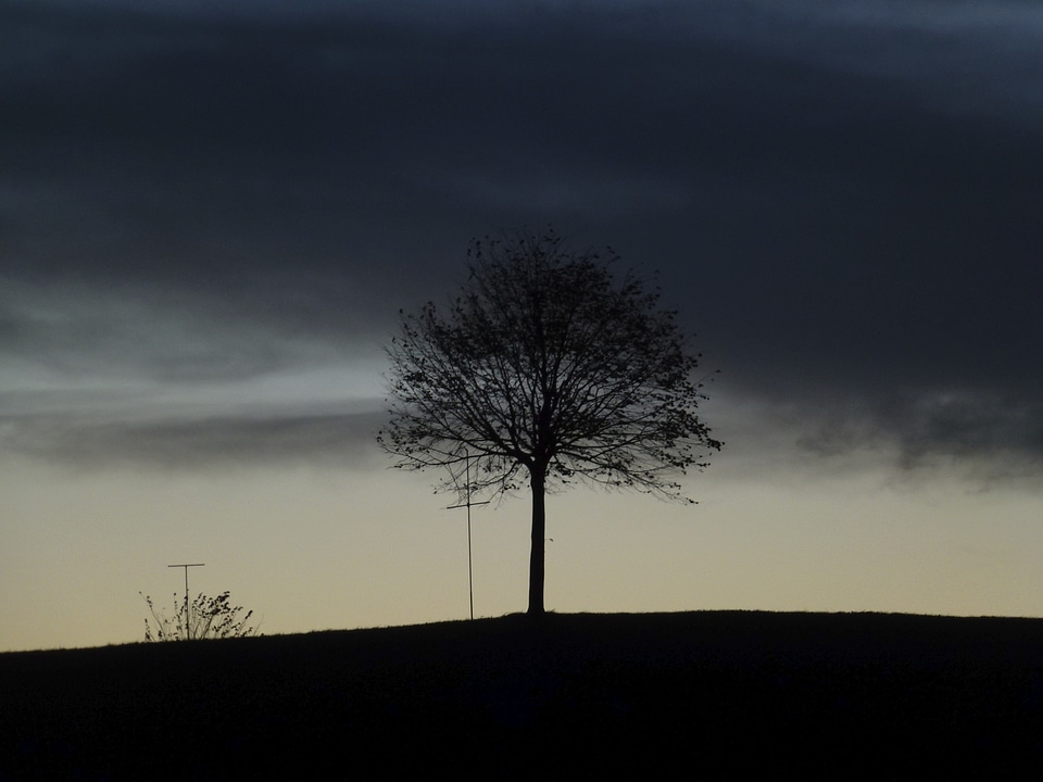 Night landscape fog