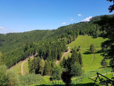 Trees landscape nature photo