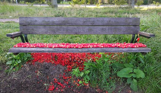 Colors summer sweden