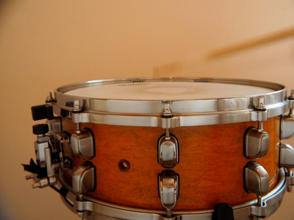 Music musical instrument instrument