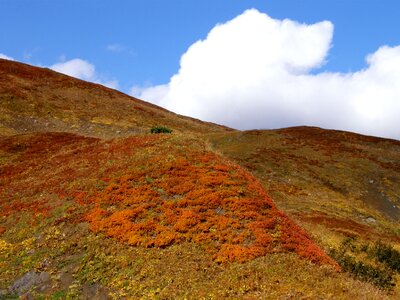 Fall colors grass sky photo