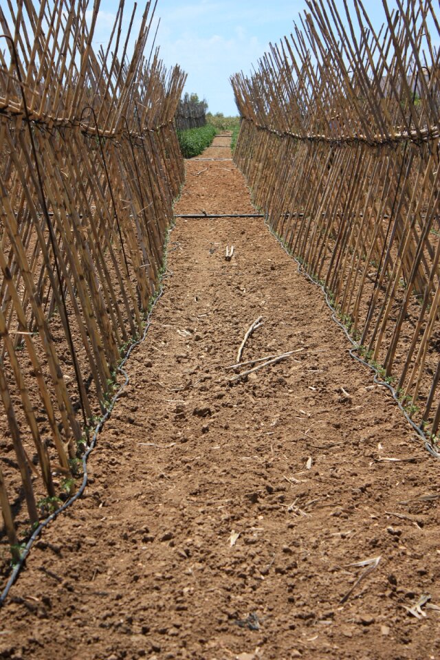 Agriculture andalusia support