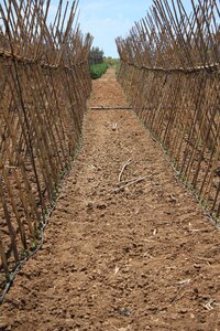 Agriculture andalusia support