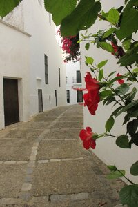Streets white villages walk