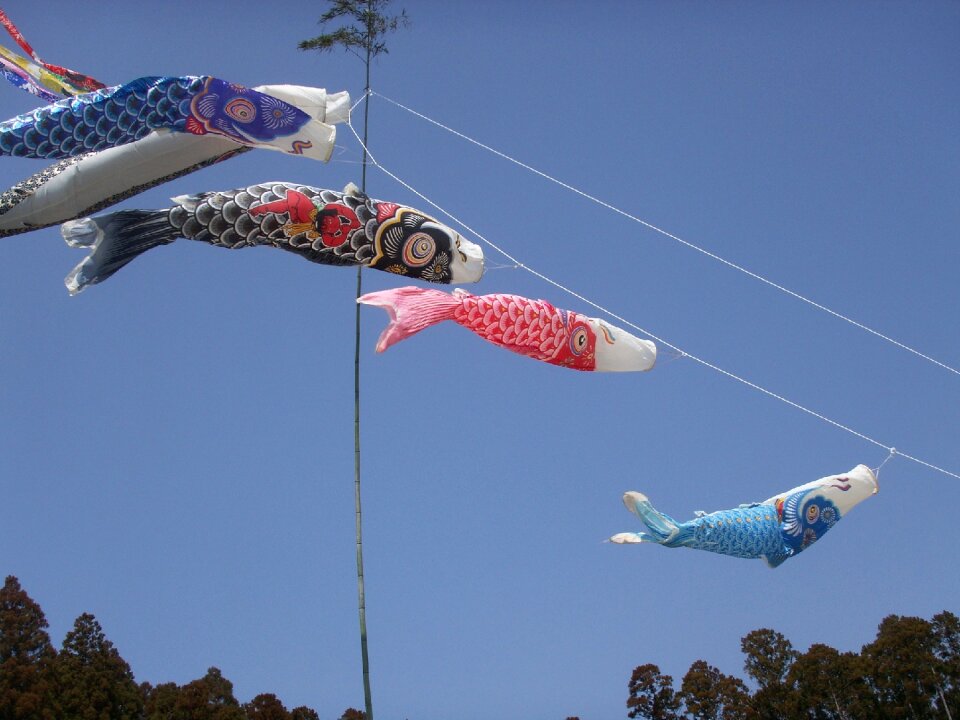 Boys' festival carp streamer streamers