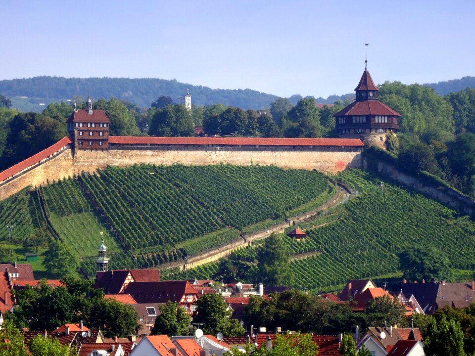 Thick tower high controls vineyard
