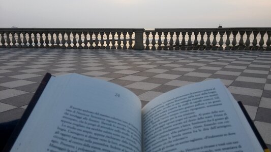 Sea landscape reading