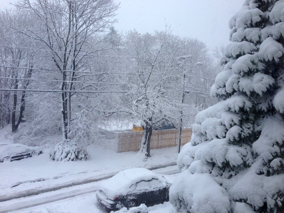Snow cold
