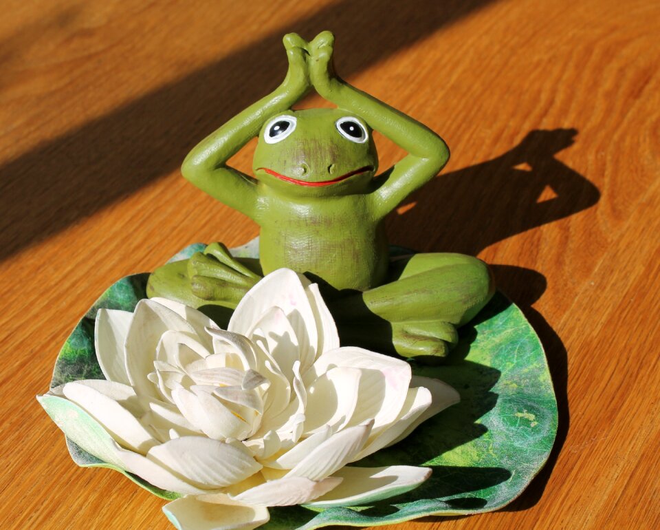 Green lotus meditation