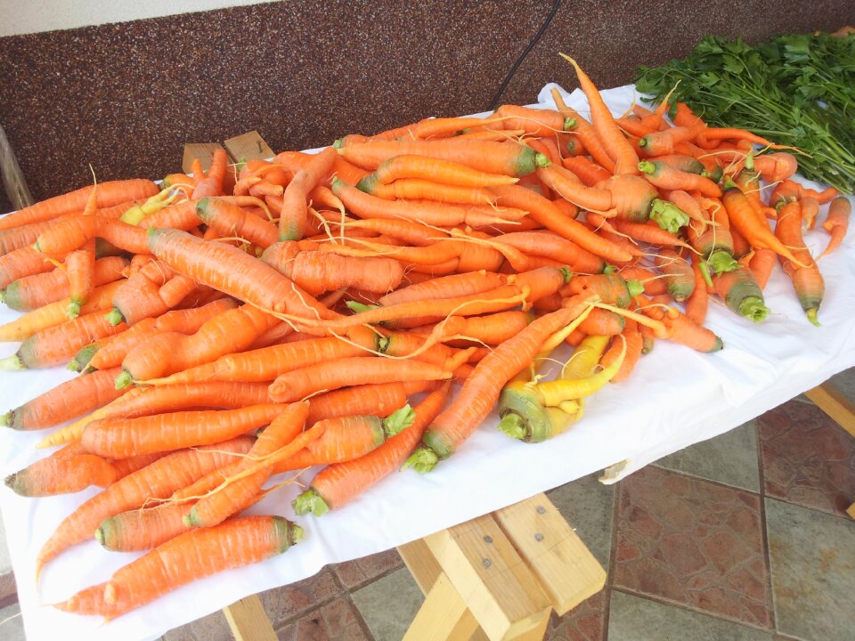 Répaszüret vegetables autumn