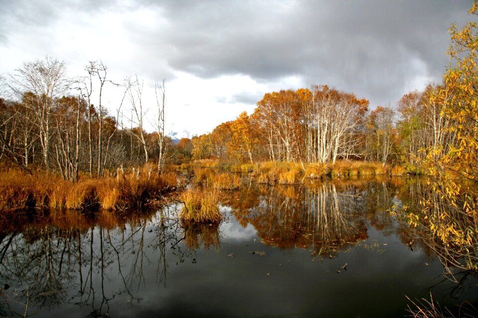 Autumn foliage landscape