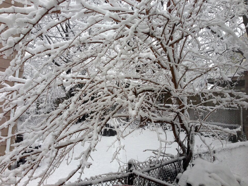 Snow cold